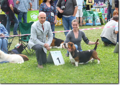 Claudio De Giuliani (I) basset hound