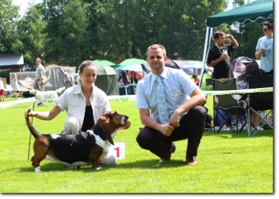 Basset hound Grzegorz Weron (PL)