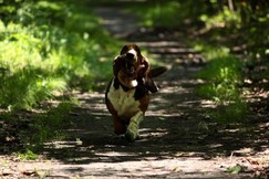 IMG_6627.jpg